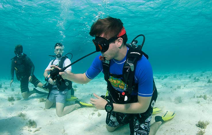 Scuba Diving in the Caymans